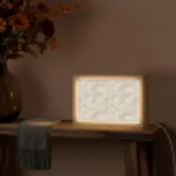 Lijnen - Waaier - Beige Light Box met kabel (Tafellamp) klein 924 -sfeer4