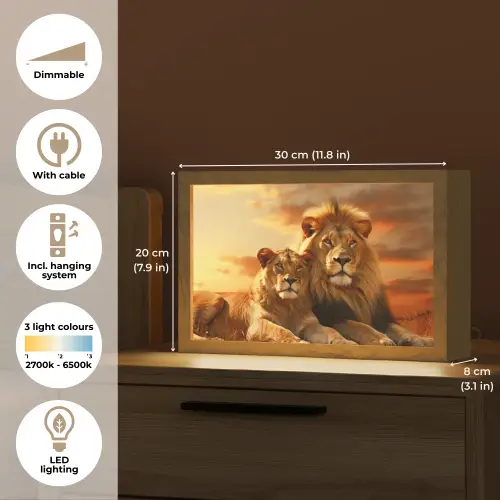 Leeuwen - Zonsondergang - Afrika - Savanne - Dieren Light Box met kabel (Tafellamp) klein -USP_EN