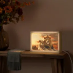Leeuwen - Zonsondergang - Afrika - Savanne - Dieren Light Box met kabel (Tafellamp) klein -sfeer4