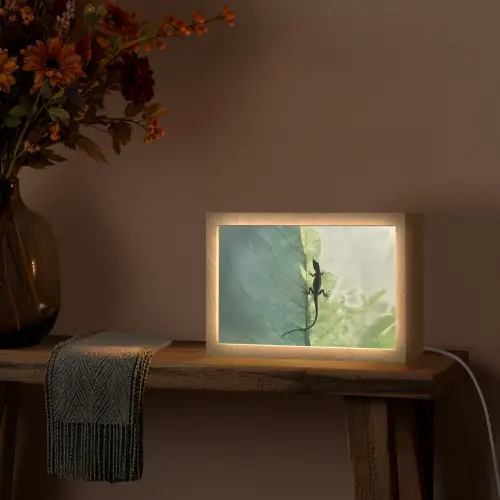 Hagedis - Blad - Nerven - Groen Light Box met kabel (Tafellamp) klein -sfeer4