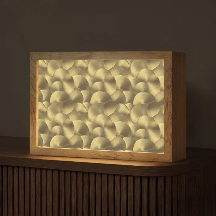 Modern - Cirkel - Goud Light Box met kabel (Tafellamp) klein 924 -z3d_website