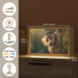 Aap - Boomstronk - Bruin Light Box met kabel (Tafellamp) klein -USP_EN