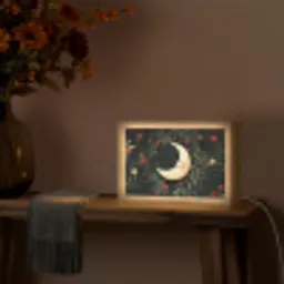 Maan - Bloemen - Nachthemel Light Box met kabel (Tafellamp) klein -sfeer4