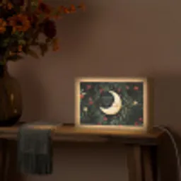 Maan - Quote - Bloemen - Sterren Light Box met kabel (Tafellamp) klein -sfeer4