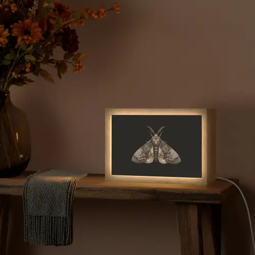 Mot - Bladachtig - Grijs Light Box met kabel (Tafellamp) klein -sfeer4