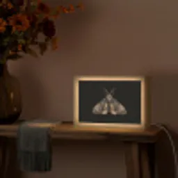 Mot - Bladachtig - Grijs Light Box met kabel (Tafellamp) klein -sfeer4