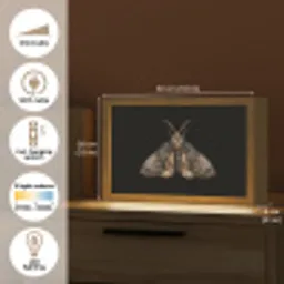 Mot - Bladachtig - Grijs Light Box met kabel (Tafellamp) klein -USP_EN