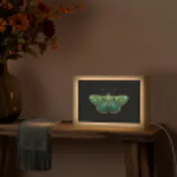 Mot - Levendig - Groen Light Box met kabel (Tafellamp) klein -sfeer4