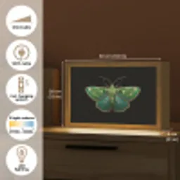 Mot - Levendig - Groen Light Box met kabel (Tafellamp) klein -USP_EN