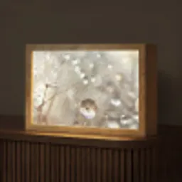 Natuur - Bloemen - Druppels - Regen Light Box met kabel (Tafellamp) klein -z3d_website
