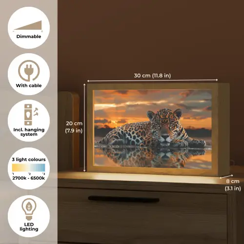 Natuur - Luipaard - Dier - Zonsondergang - Modern Light Box met kabel (Tafellamp) klein -USP_EN