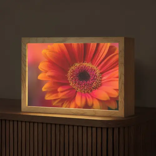 Oranje - Gerbera - Intens Light Box met kabel (Tafellamp) klein -z3d_website