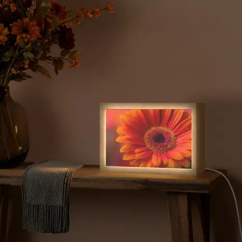 Oranje - Gerbera - Intens Light Box met kabel (Tafellamp) klein -sfeer4