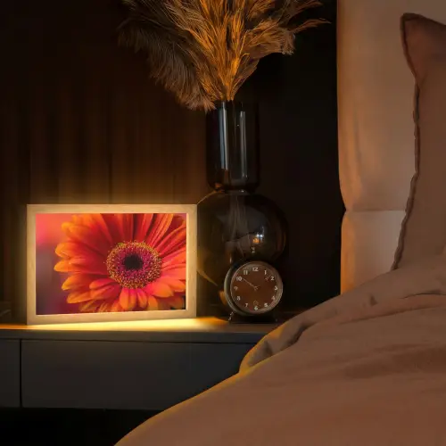 Oranje - Gerbera - Intens Light Box met kabel (Tafellamp) klein -sfeer1