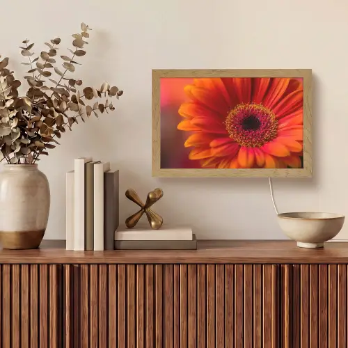 Oranje - Gerbera - Intens Light Box met kabel (Tafellamp) klein -sfeer2