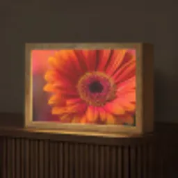 Oranje - Gerbera - Intens Light Box met kabel (Tafellamp) klein -z3d_website