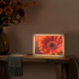Oranje - Gerbera - Intens Light Box met kabel (Tafellamp) klein -sfeer4