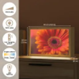 Oranje - Gerbera - Intens Light Box met kabel (Tafellamp) klein -USP_EN