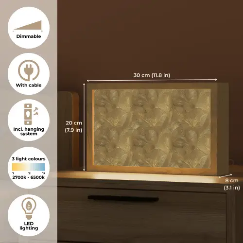 Organisch - Lijnen - Goud Light Box met kabel (Tafellamp) klein 924 -USP_EN