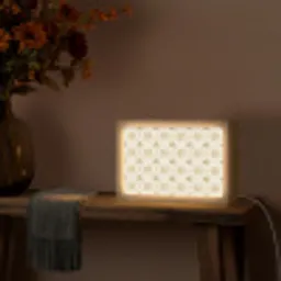 Ornament - Klassiek - Goud Light Box met kabel (Tafellamp) klein 924 -sfeer4