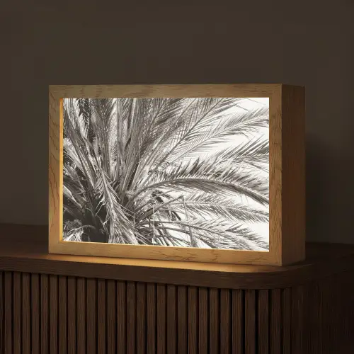 Palmboom - Tropisch - Zwart - Wit Light Box met kabel (Tafellamp) klein -z3d_website