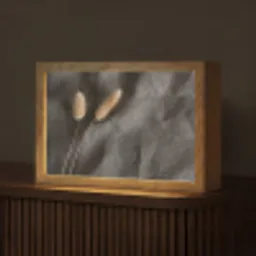 Pampasgras - Pluim - Zwart - Beige Light Box met kabel (Tafellamp) klein -z3d_website