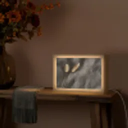 Pampasgras - Pluim - Zwart - Beige Light Box met kabel (Tafellamp) klein -sfeer4