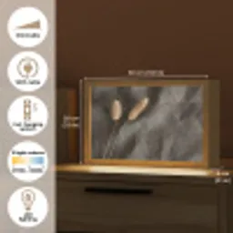 Pampasgras - Pluim - Zwart - Beige Light Box met kabel (Tafellamp) klein -USP_EN