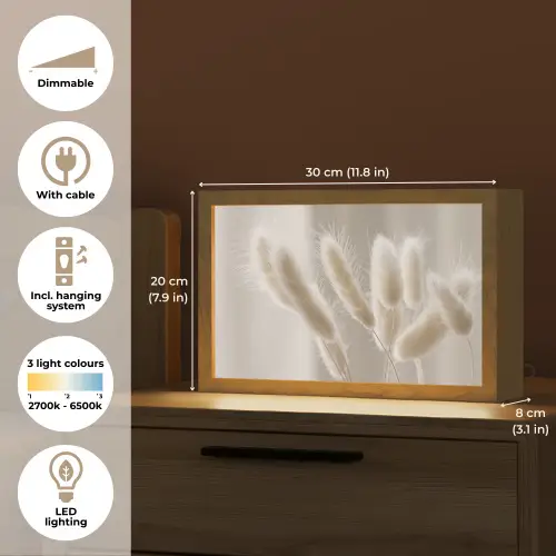 Pampasgras - Pluim - Wit Light Box met kabel (Tafellamp) klein -USP_EN