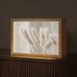 Pampasgras - Pluim - Wit Light Box met kabel (Tafellamp) klein -z3d_website
