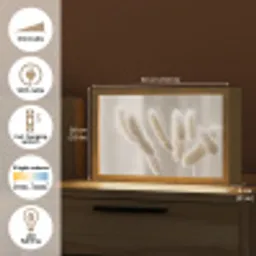 Pampasgras - Pluim - Wit Light Box met kabel (Tafellamp) klein -USP_EN