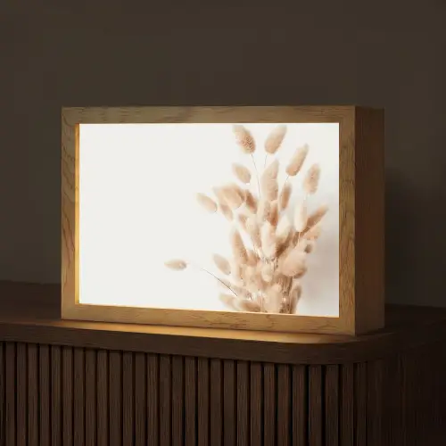 Pampasgras - Pluim - Wit - Beige Light Box met kabel (Tafellamp) klein -z3d_website