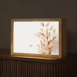 Pampasgras - Pluim - Wit - Beige Light Box met kabel (Tafellamp) klein -z3d_website