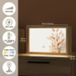 Pampasgras - Pluim - Wit - Beige Light Box met kabel (Tafellamp) klein -USP_EN