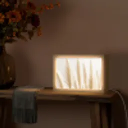Pampas gras - Pluimen - Beige - Natuur Light Box met kabel (Tafellamp) klein -sfeer4