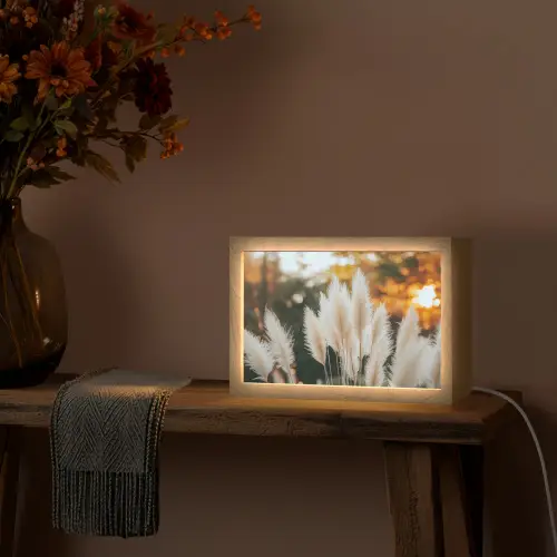 Pampasgras - Pluimen - Sierlijk Light Box met kabel (Tafellamp) klein -sfeer4