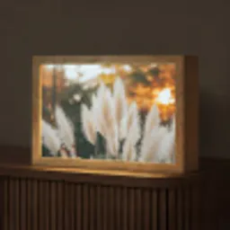 Pampasgras - Pluimen - Sierlijk Light Box met kabel (Tafellamp) klein -z3d_website