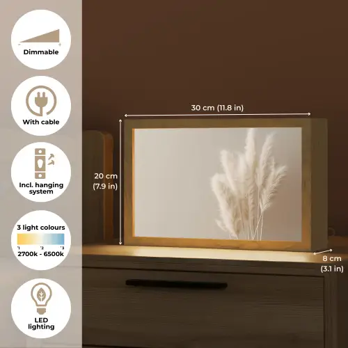 Pampasgras - Pluimen - Pastel - Wit Light Box met kabel (Tafellamp) klein -USP_EN