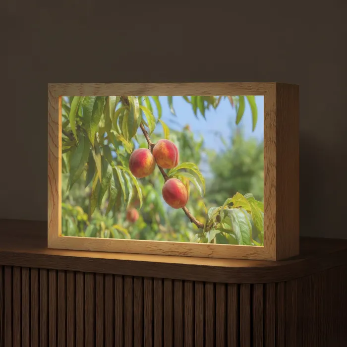 Perzik - Bladeren - Zonlicht Light Box met kabel (Tafellamp) klein -z3d_website