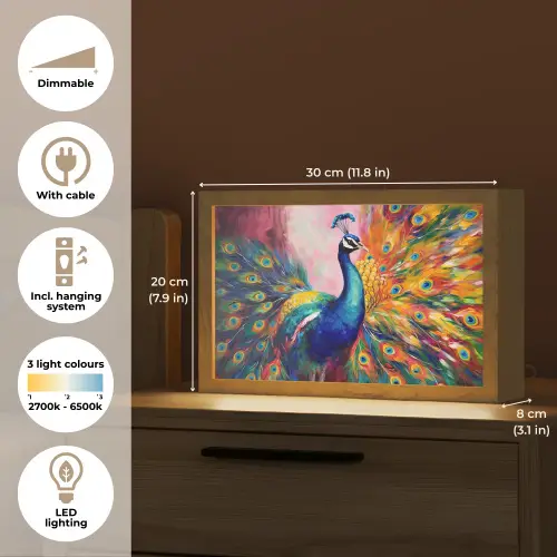 Pauw - Dieren - Schilderij - Regenboog Light Box met kabel (Tafellamp) klein -USP_EN