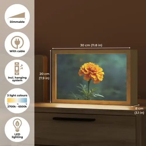 Bloemblaadjes - Afrikaan - Oranje - Wazig Light Box met kabel (Tafellamp) klein -USP_EN