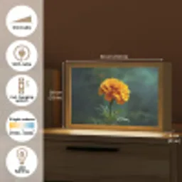 Bloemblaadjes - Afrikaan - Oranje - Wazig Light Box met kabel (Tafellamp) klein -USP_EN