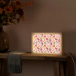 Roze - Kleuren - Fruit - Patroon Light Box met kabel (Tafellamp) klein 924 -sfeer4