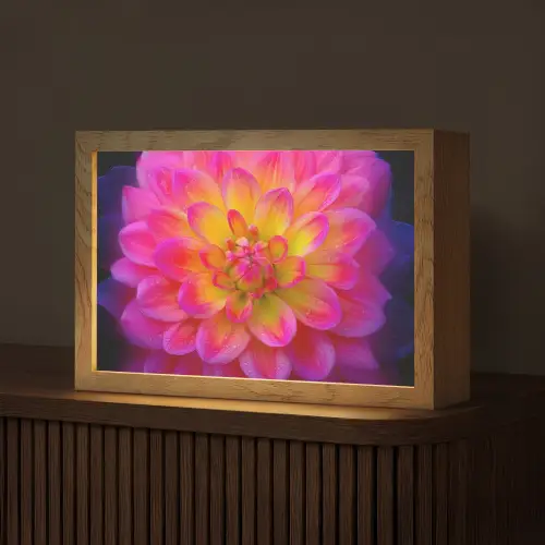Roze - Dahlia - Kleurrijk Light Box met kabel (Tafellamp) klein -z3d_website