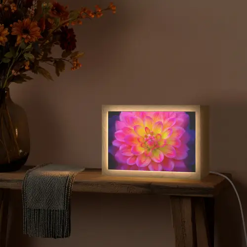 Roze - Dahlia - Kleurrijk Light Box met kabel (Tafellamp) klein -sfeer4