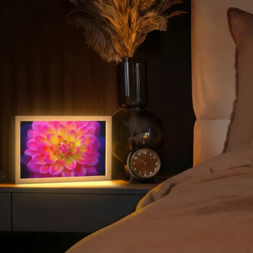 Roze - Dahlia - Kleurrijk Light Box met kabel (Tafellamp) klein -sfeer1