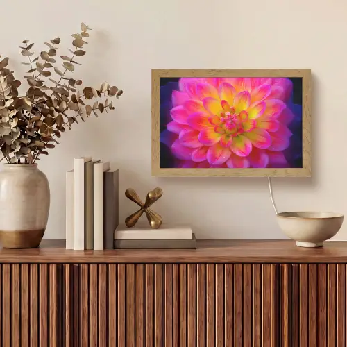 Roze - Dahlia - Kleurrijk Light Box met kabel (Tafellamp) klein -sfeer2