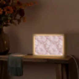 Roze - Kwartsmarmer - Aders Light Box met kabel (Tafellamp) klein 924 -sfeer4