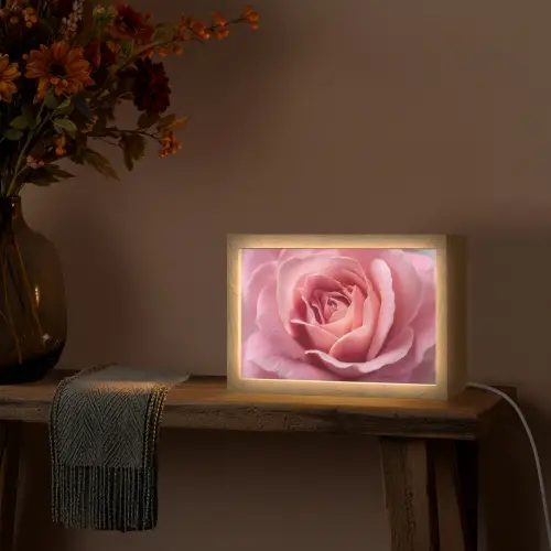 Roze - Roos - Romantisch Light Box met kabel (Tafellamp) klein -sfeer4