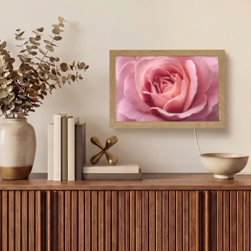 Roze - Roos - Romantisch Light Box met kabel (Tafellamp) klein -sfeer2